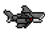Robot Shark Studios