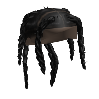 Skrewly Braids Roblox item