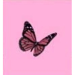 Barbie_pacide