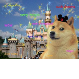 DOGE CASTLE