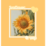 sunflower group for anyone