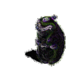 Circuit Board Chomik