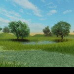 Bright Forest (Birthday Update)