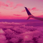 | Rosie Aesthetics |