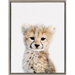 Cheetahs Unite!