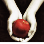Twilight Book Club!