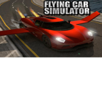 Flying Simulator