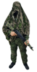FumoState