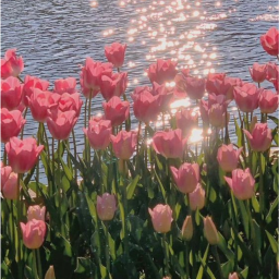 ୨💐୧