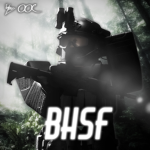BHSF