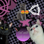 Cats with cats time