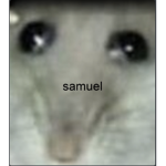 catzALT2 fan group