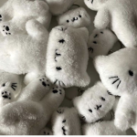 ~Cookies love~