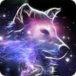 ShadyDullWolves