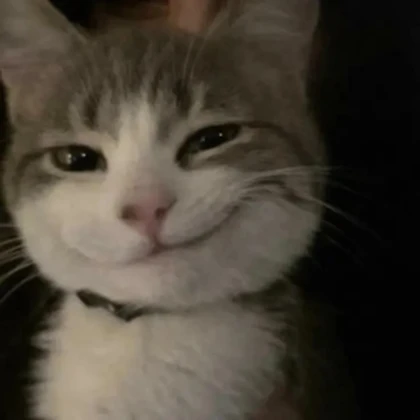 Catnip UGC Roblox group icon