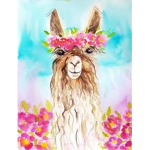 ❤ The Llamas ❤