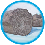 Fossil Forest! 🌲