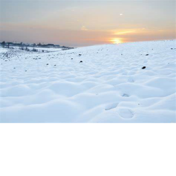 snow ball fight