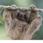 __Sloth sqaud__