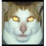 The Real Man Face
