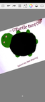 Turtle Turt