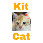 TeamCatCrew
