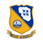 Pilot Training Flight Sim Blue Angels Group Thumbnail