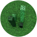 grass.png