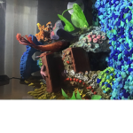 Patrick fan clubb