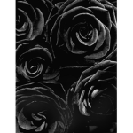 Blackk Rosess