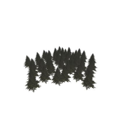 🌟 [New!] 💫 [New!] Forest Trees