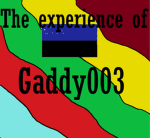 the experience of gaddy003
