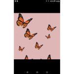 Buttery fly
