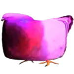 toaster pigeon