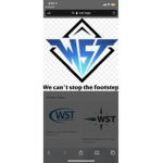 WST gaming
