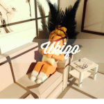 Skating co.