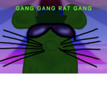 GANG GANG RAT GANG
