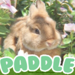 Paddle Studios