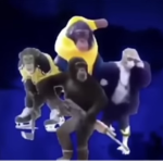 The fonky monky teem