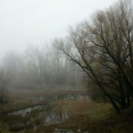 /dreary