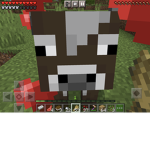 WE LOVE LOVE COWS