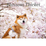Blossom Thicket