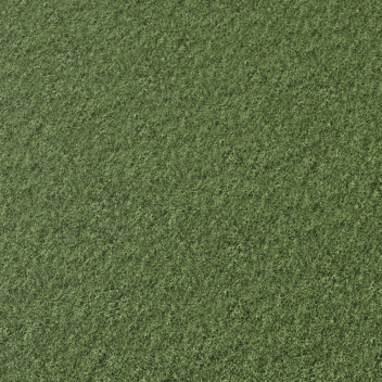 The Testing Area 2021