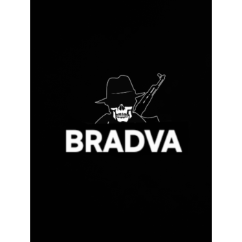 BRADVA ARENA PVP