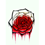 The Royal roses of Roblox