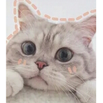 Ponchik_UvU