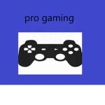 pro gam1ng