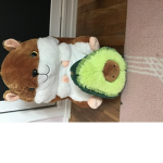 The Fat Hamster