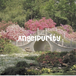+*AngelPurity*+