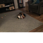 Mom and olive